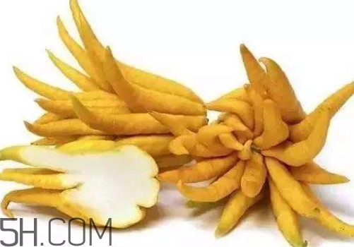 佛手柑是佛手瓜嗎？佛手柑和佛手瓜的區(qū)別
