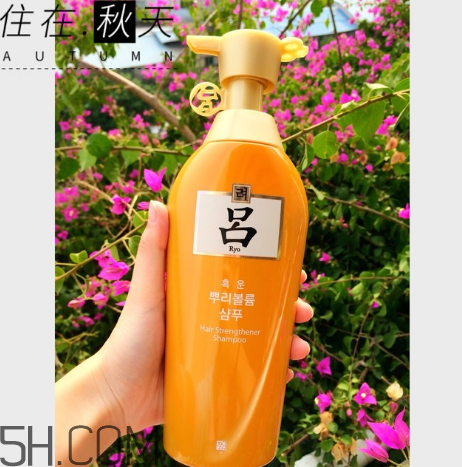 黃呂洗發(fā)水怎么樣？黃呂洗發(fā)水適合人群