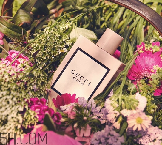gucci bloom香水多少錢？gucci bloom香水專柜價格