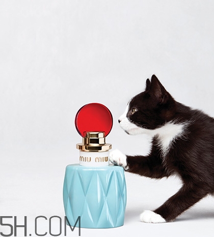 miumiu香水什么檔次？miumiu繆繆香水是哪國(guó)的