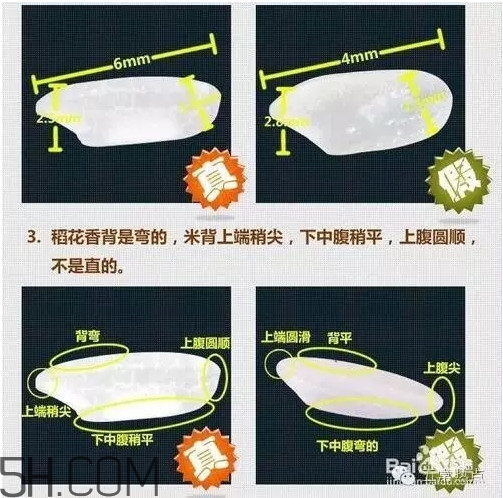 五常大米怎么辨別真假？五常大米和普通米的區(qū)別