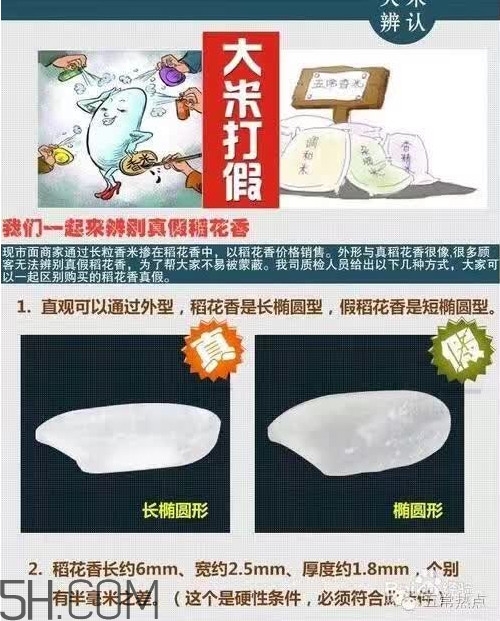 五常大米怎么辨別真假？五常大米和普通米的區(qū)別