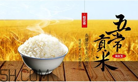 五常大米什么時(shí)候種植？五常大米是什么品種