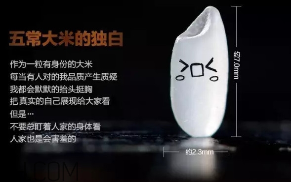 五常大米為什么那么貴？五常大米比一般大米味道好在哪兒