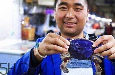 藍(lán)色梭子蟹可以吃嗎？梭子蟹蟹腿變藍(lán)可以吃嗎