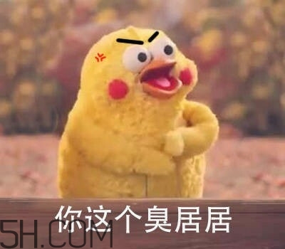 你個臭居居什么意思？你個臭居居表情包