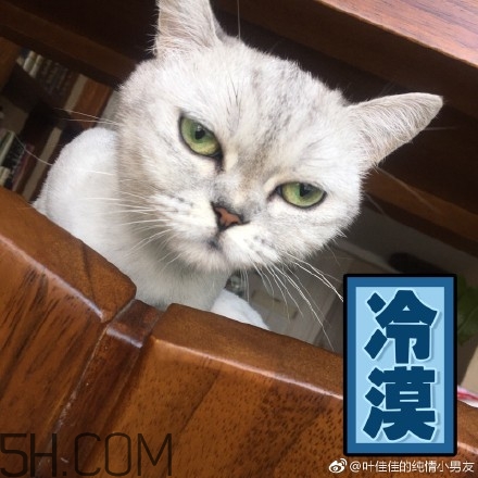 你個臭居居什么意思？你個臭居居表情包