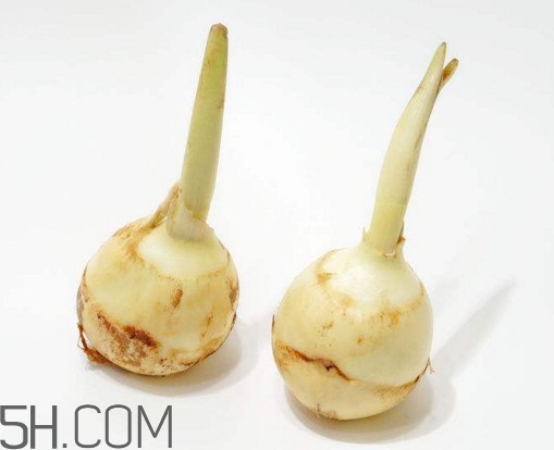 多吃慈菇有什么好處和害處？慈菇怎么保存