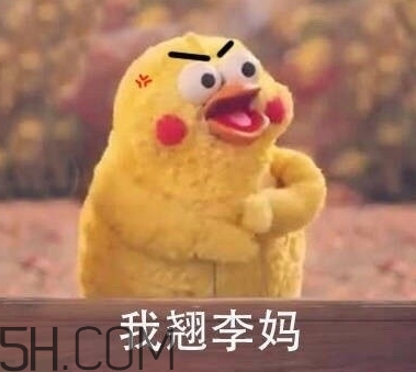 翹李媽什么意思？我翹李媽表情包