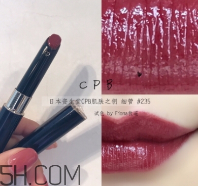 豬肝色口紅哪個牌子好？豬肝色口紅推薦