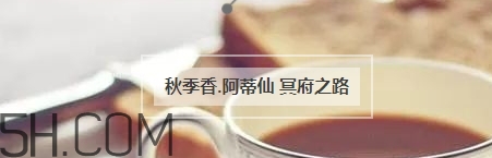 冬天適合什么香水？適合冬天的小眾香型香水推薦