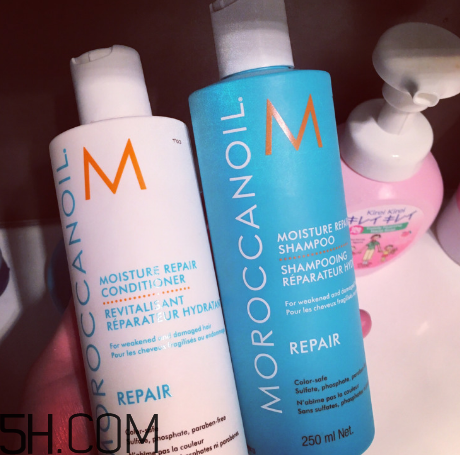 moroccanoil摩洛哥油洗發(fā)水怎么樣？摩洛哥油洗發(fā)水適合發(fā)質(zhì)