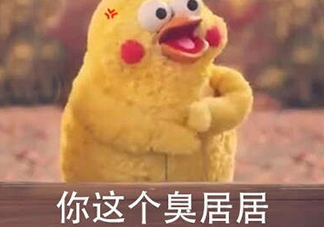 你個臭居居什么意思？你個臭居居表情包