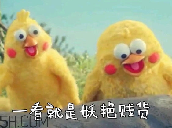你們都是臭襪子什么意思？你們都是臭襪子表情包