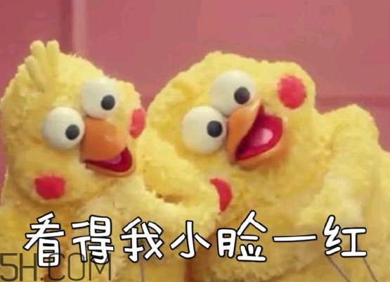 你們都是臭襪子什么意思？你們都是臭襪子表情包
