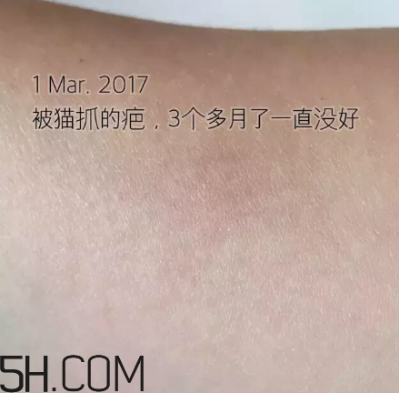 海藍(lán)之謎pk深海四十噚最全測(cè)評(píng) 面霜哪家好？