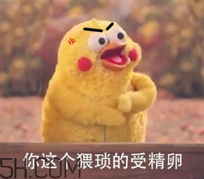 你這個猥瑣的受精卵是什么意思？你這個猥瑣的受精卵表情包