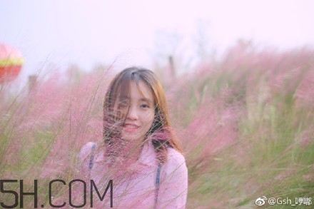 粉黛亂子是什么植物？粉黛亂子草花語