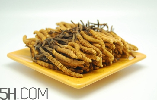 冬蟲(chóng)夏草可以人工種植嗎？冬蟲(chóng)夏草可不可以放在冰箱里