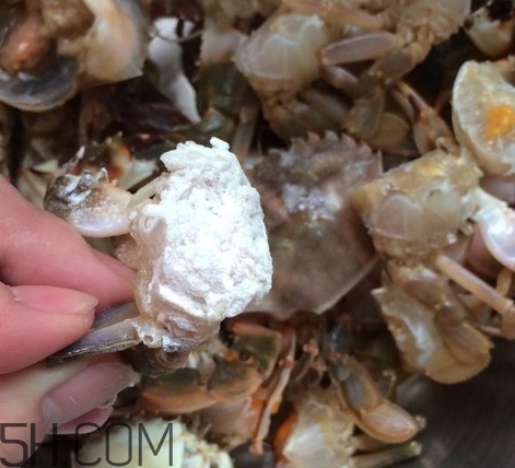 花蓋蟹和梭子蟹哪個好吃？花蓋蟹和梭子蟹區(qū)別
