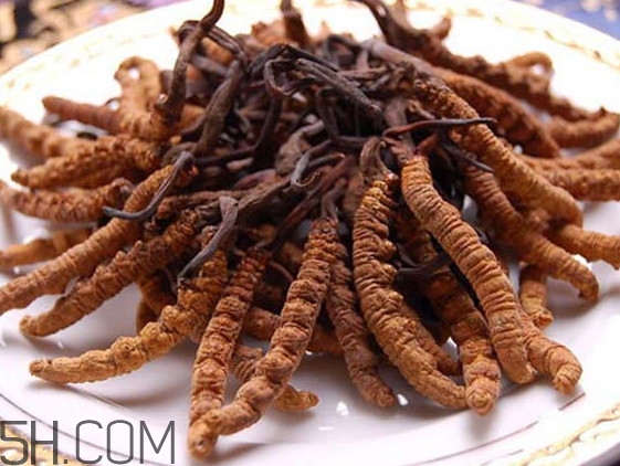 冬蟲(chóng)夏草可以人工種植嗎？冬蟲(chóng)夏草可不可以放在冰箱里