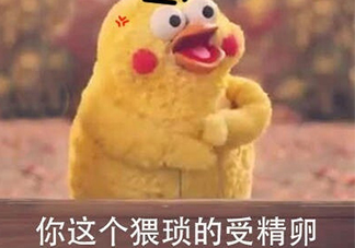 你這個猥瑣的受精卵是什么意思？你這個猥瑣的受精卵表情包