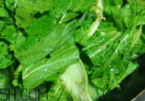 芥菜葉子的營養(yǎng)價(jià)值_芥菜葉子的功效與作用
