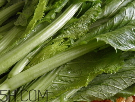 芥菜葉子的營養(yǎng)價(jià)值_芥菜葉子的功效與作用