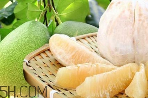 文旦柚多少錢一斤？文旦柚是寒性食物嗎