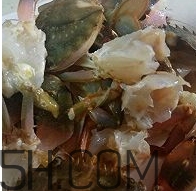 海虹蟹怎么做好吃？海紅蟹的做法