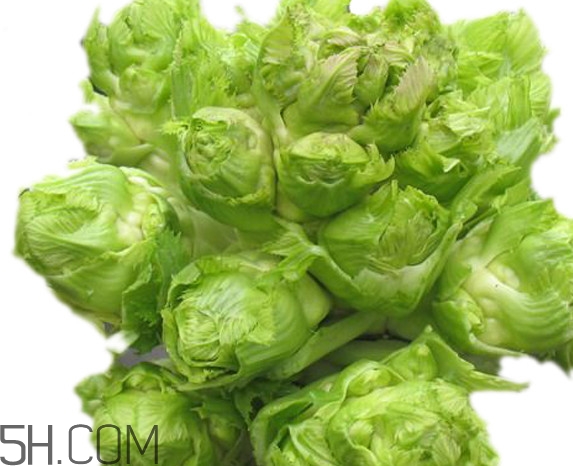 青菜頭是不是兒菜？大頭菜和兒菜的區(qū)別