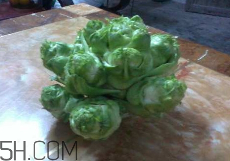 兒菜怎么吃？兒菜可不可以做泡菜