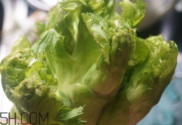 兒菜為什么叫兒菜？兒菜什么季節(jié)吃的