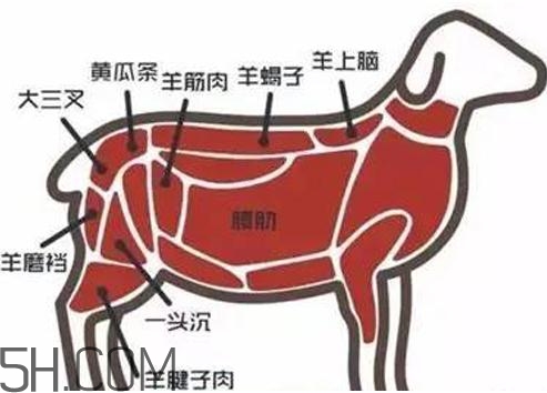 涮羊肉哪個部位最好吃？涮羊肉都有什么菜？