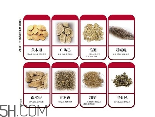 含馬兜鈴酸的藥都不能吃嗎？馬兜鈴酸真的會致癌嗎