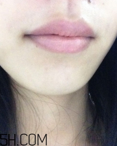 dhc美容液唇膏好嗎？dhc尊貴美容液唇膏試色