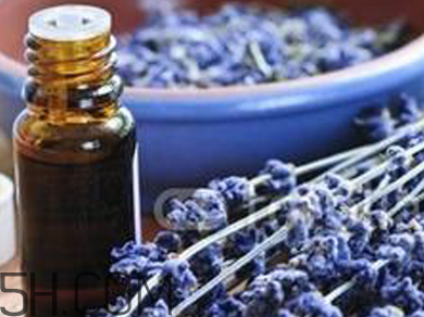 如何用精油護(hù)發(fā)？薰衣草精油護(hù)發(fā)怎么用？