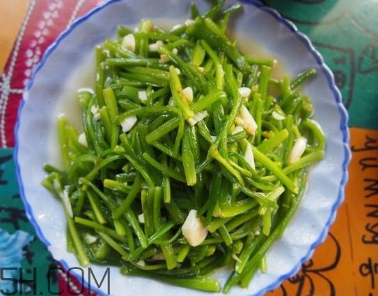 麗江水性楊花是什么菜？水性楊花菜怎么做？