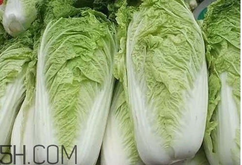 大白菜什么時候種最合適？大白菜怎么做好吃