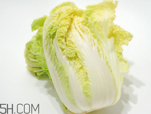 大白菜起源是哪里？大白菜產(chǎn)地分布有哪些