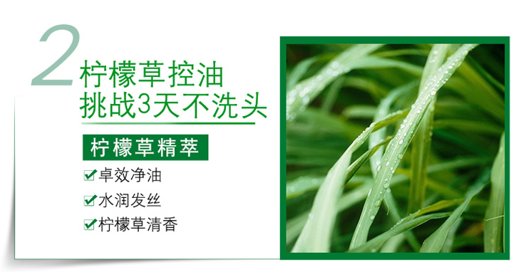 歐萊雅茶樹(shù)植萃去屑凈油洗發(fā)露