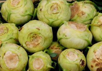 大頭菜是發(fā)物嗎？大頭菜是卷心菜嗎