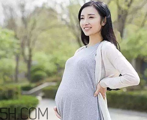 懷孕了可以吃可樂雞翅嗎？可樂雞翅什么人不能吃