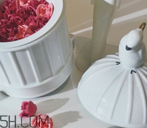 拉杜麗鳥(niǎo)籠腮紅多少錢？laduree2018拉杜麗鳥(niǎo)籠腮紅試色