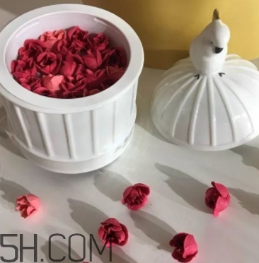 拉杜麗鳥(niǎo)籠腮紅多少錢？laduree2018拉杜麗鳥(niǎo)籠腮紅試色
