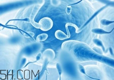精子不液化是什么原因造成的？精子不液化吃什么藥好？