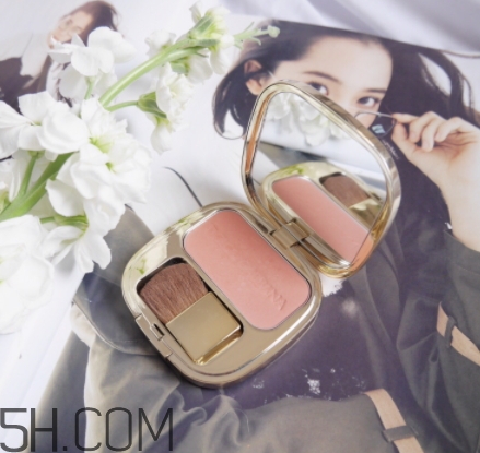 dolce gabbana腮紅怎么樣？DG杜嘉班納腮紅評測