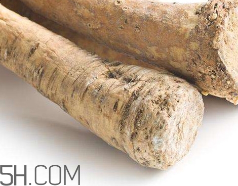 芥末是辣根嗎？辣根和芥末的區(qū)別