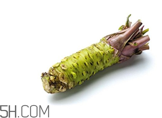 芥末為什么會(huì)沖鼻？芥末長(zhǎng)什么樣子
