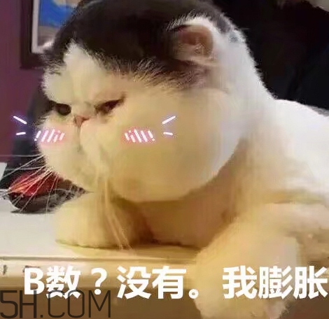 b數(shù)沒有我膨脹什么意思？b數(shù)沒有我膨脹表情包